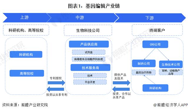 国内首株！中国科研团队研发出高亮度夜晚自发光植物：未来或能改变城市夜间景观【附基因编辑技术赛道观察图谱】