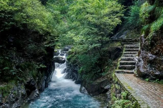 抓住暑假的尾巴，开启一场探索申城周边宝藏公园的自驾之旅吧~