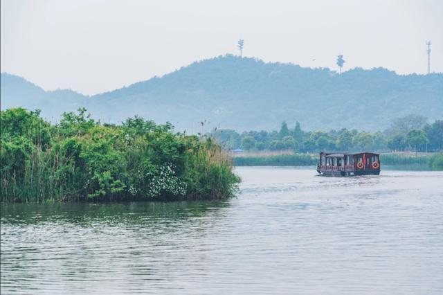 抓住暑假的尾巴，开启一场探索申城周边宝藏公园的自驾之旅吧~