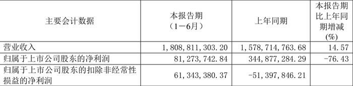 武汉控股：2024年上半年净利润8127.37万元 同比下降76.43%