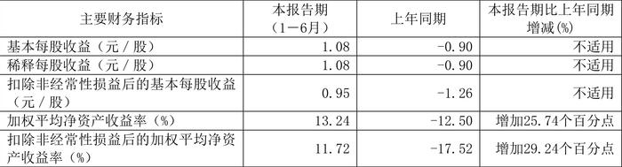 赛力斯：2024年上半年盈利16.25亿元 同比扭亏