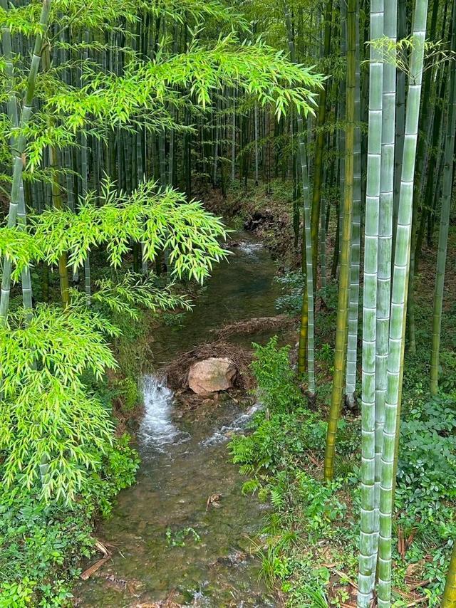 抓住暑假的尾巴，开启一场探索申城周边宝藏公园的自驾之旅吧~