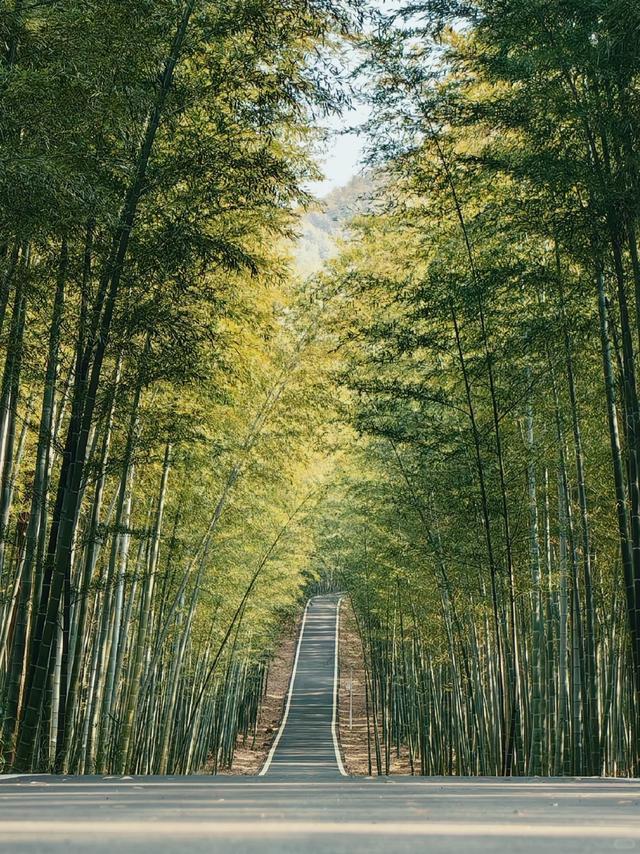 抓住暑假的尾巴，开启一场探索申城周边宝藏公园的自驾之旅吧~