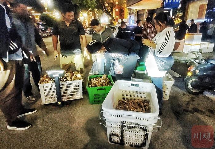 C视频丨来巴塘逛松茸夜市 满街都是菌香丨向云端——寻路川藏线上的中国