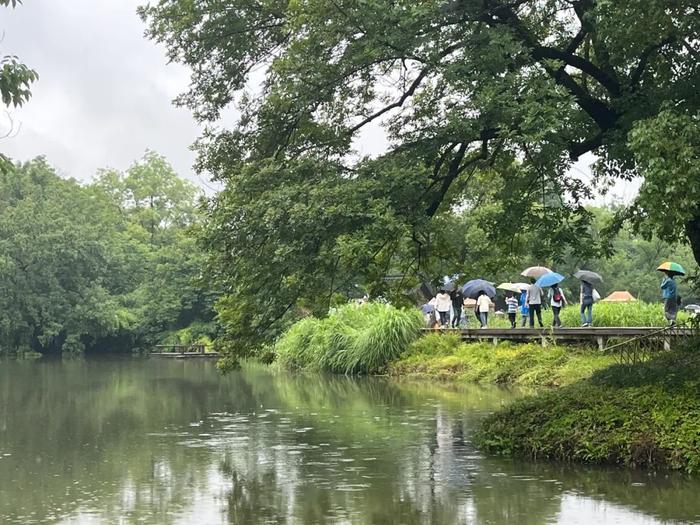 这次来真的！杭州人注意：明起大反转！雨水和冷空气双双登场，要持续到……