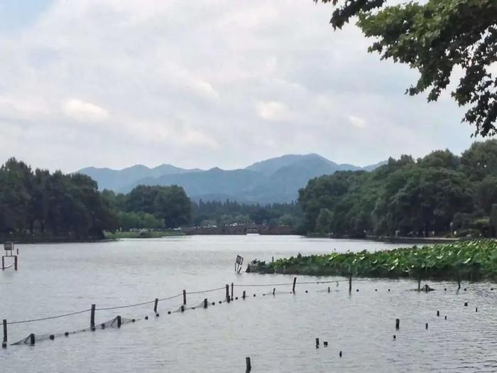 这次来真的！杭州人注意：明起大反转！雨水和冷空气双双登场，要持续到……