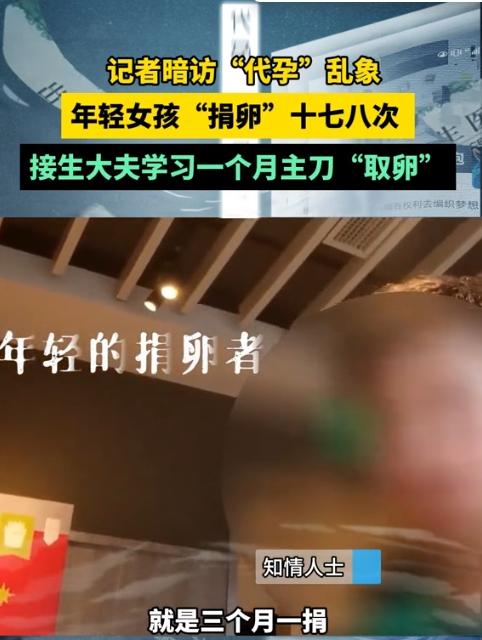 汽贸城中暗藏代孕实验室，年轻女孩卖卵十几次？青岛刚刚通报：立即成立调査组