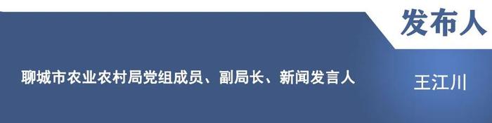 【新闻发布】“聚力攻坚看进展”主题新闻发布会：介绍2024年以来聊城市农业农村工作有关情况