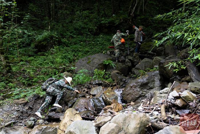 科创未来丨翻山越岭穿越丛林，他们为森林草原做“体检”