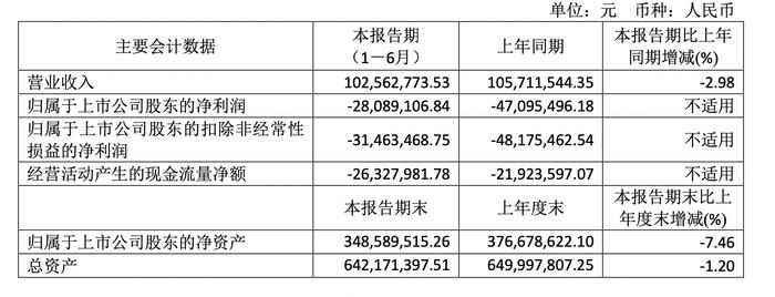 亚振家居2024上半年营收1亿元，净亏损收窄40% |中报速递