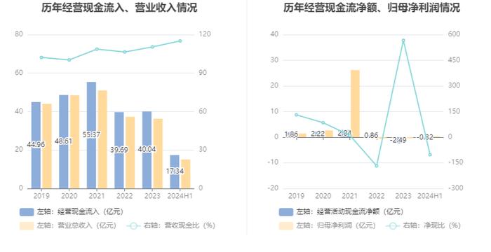 振东制药：2024年上半年净利润3065.75万元 同比增长110.81%