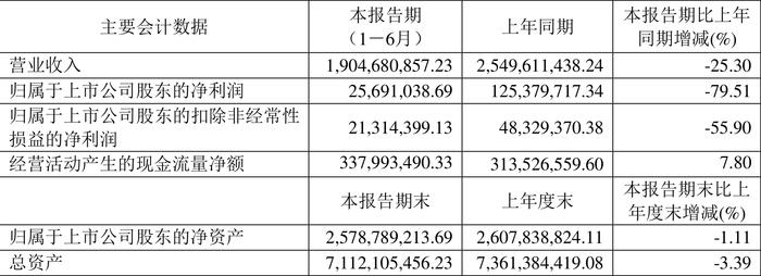 盛泰集团：2024年上半年净利润2569.10万元 同比下降79.51%