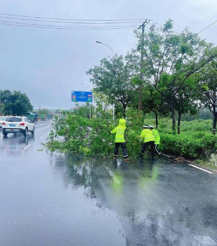 无惧风雨 石家庄公安交管部门全员上岗保障安全