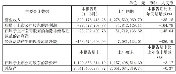 海外储能市场需求疲软，博力威上半年净利同比下滑164%