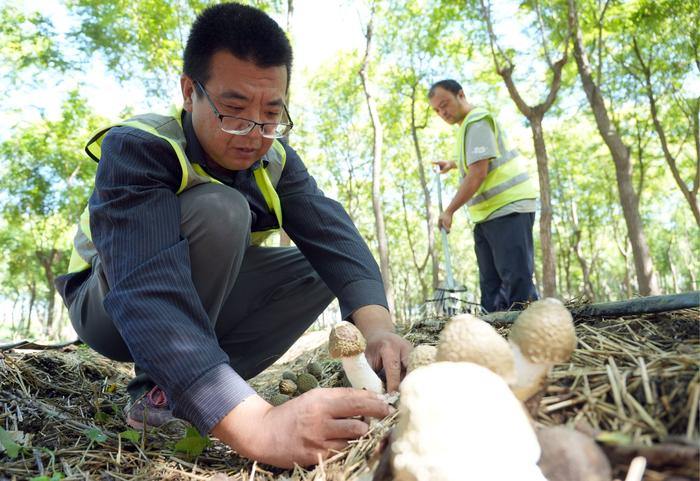 北京深入打好农业农村污染治理攻坚战