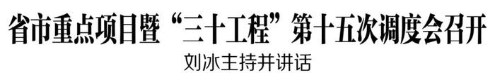 省市重点项目暨“三十工程”第十五次调度会召开