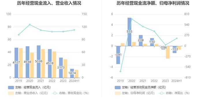 南京熊猫：2024年上半年亏损6819.81万元