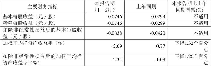 南京熊猫：2024年上半年亏损6819.81万元