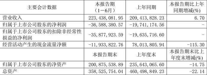 庚星股份：2024年上半年亏损3658.84万元