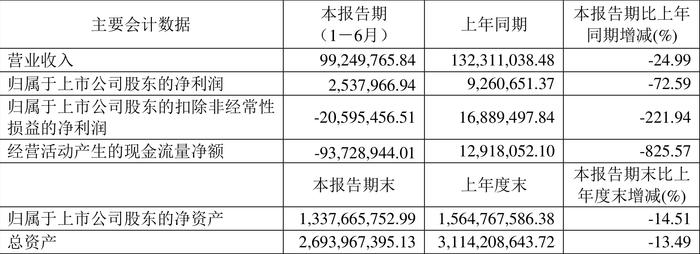 天宸股份：2024年上半年净利润253.80万元 同比下降72.59%