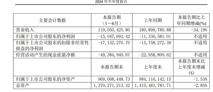 菲林格尔2024上半年营收下滑三成，净亏损1504万元丨中报速递