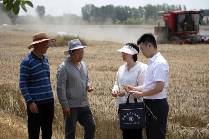 助力中国式现代化建设河南实践行稳致远——专访农行河南省分行党委书记、行长韩静