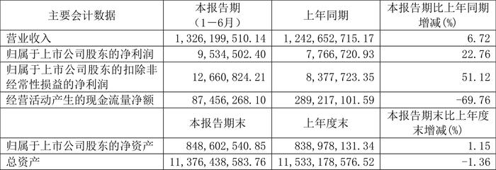 中央商场：2024年上半年净利润953.45万元 同比增长22.76%