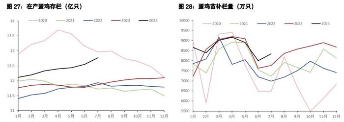 鸡蛋维持反弹抛空思路 生猪现货驱动暂时向下