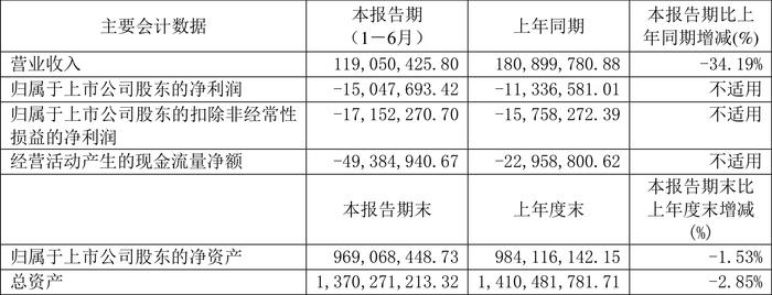 菲林格尔：2024年上半年亏损1504.77万元