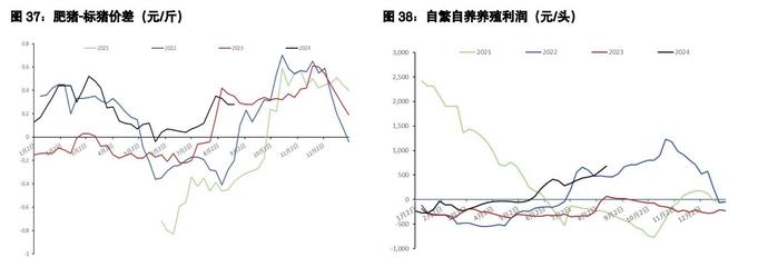 鸡蛋维持反弹抛空思路 生猪现货驱动暂时向下