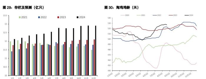 鸡蛋维持反弹抛空思路 生猪现货驱动暂时向下