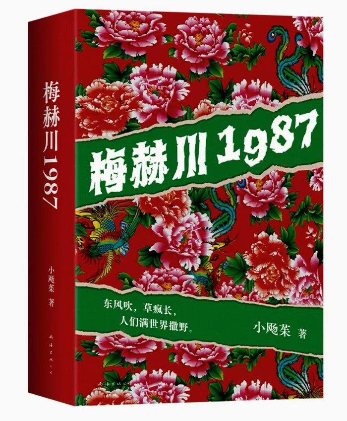 《梅赫川1987》：“不可靠叙述者”与他的靠谱往事