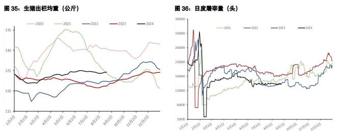 鸡蛋维持反弹抛空思路 生猪现货驱动暂时向下