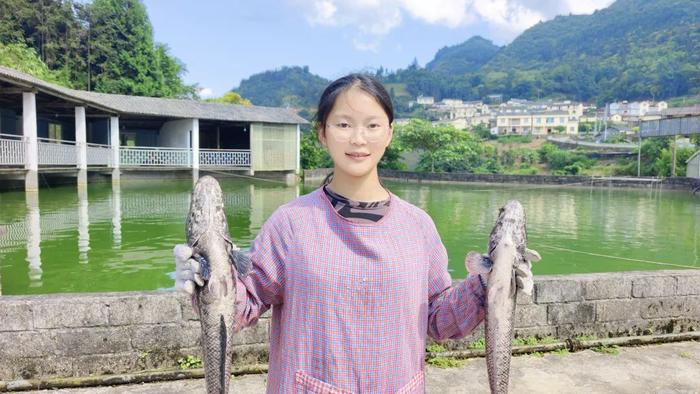 小山村“鲤鱼翻身”了 ｜在云南样样好