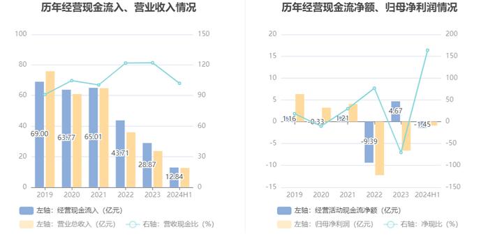 罗欣药业：2024年上半年亏损8870.99万元