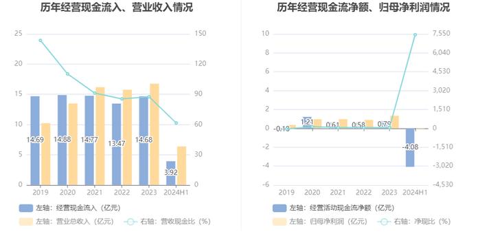 莱斯信息：2024年上半年亏损545.19万元