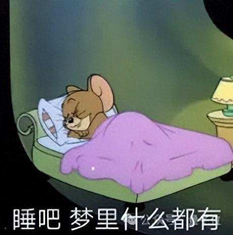 大脑存在内部“世界模型”，快速眼动睡眠期间就会运行睡觉时大脑活动与清醒时非常相似大脑内部的“世界模型”