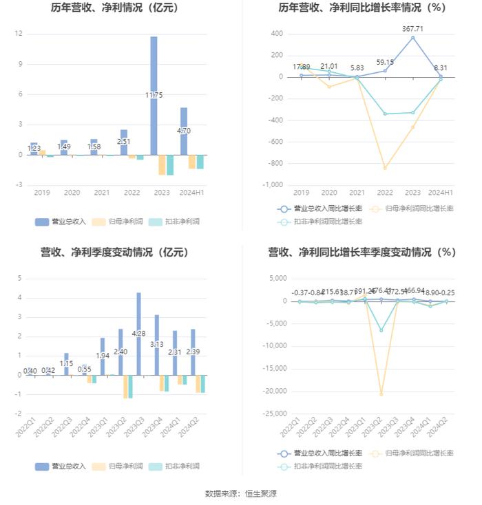 华民股份：2024年上半年亏损1.37亿元