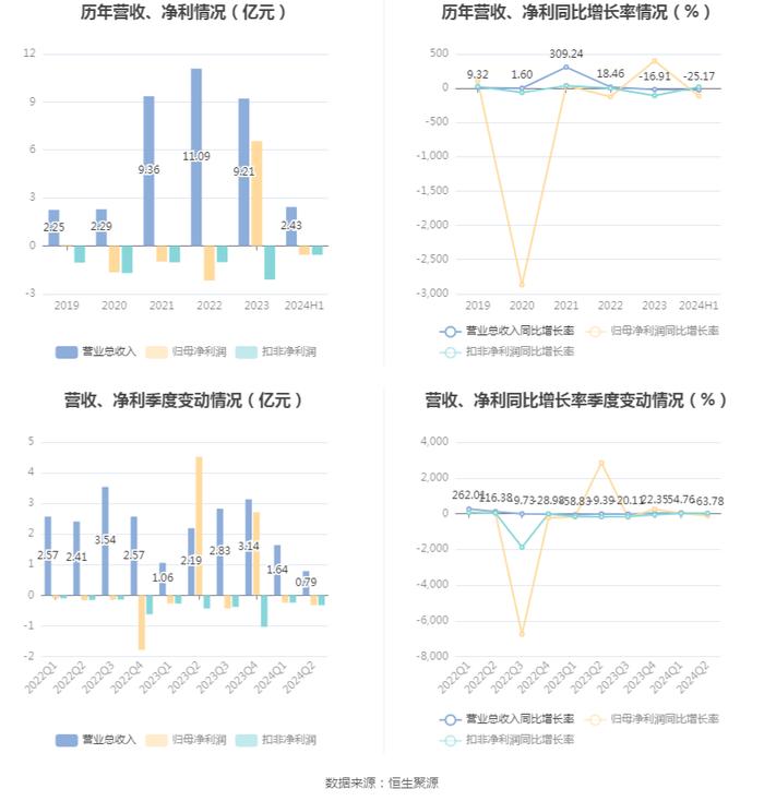 华控赛格：2024年上半年亏损5558.77万元