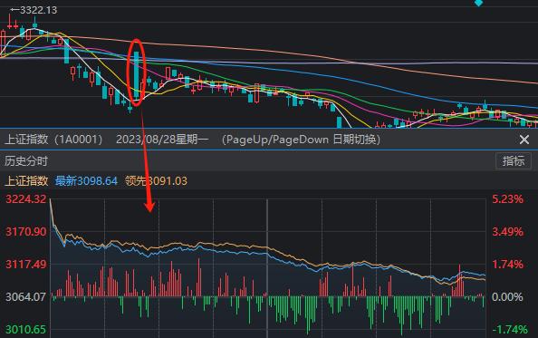 A股成交额不足5000亿，沪指创阶段新低！“828”一年来，到底谁在涨？