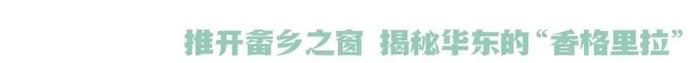 数字游民社区运营大赛来了！全世界有趣的人到丽水去！