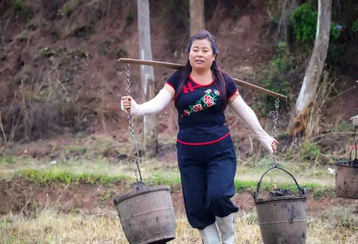 家国情·奋斗正当时丨巾帼种粮人赵建花：让种的人小康，让吃的人健康