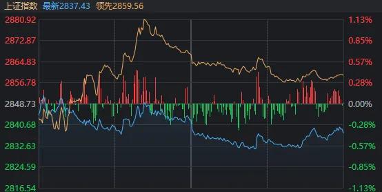 A股成交额不足5000亿，沪指创阶段新低！“828”一年来，到底谁在涨？