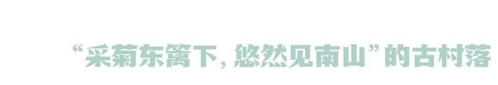 数字游民社区运营大赛来了！全世界有趣的人到丽水去！