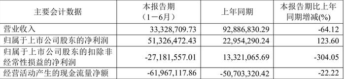 实达集团：2024年上半年净利润5132.65万元 同比增长123.60%