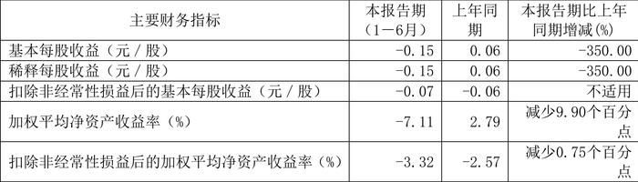 汇鸿集团：2024年上半年亏损3.30亿元