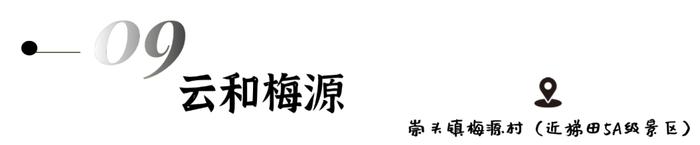 数字游民社区运营大赛来了！全世界有趣的人到丽水去！