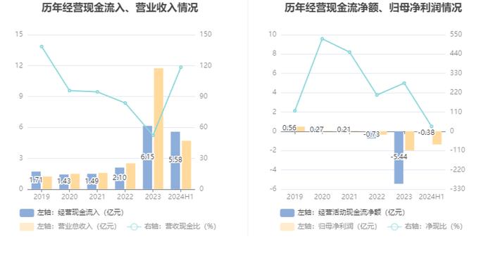 华民股份：2024年上半年亏损1.37亿元