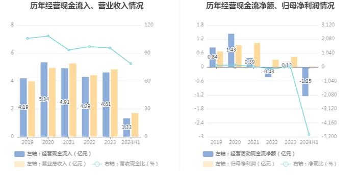 蕾奥规划：2024年上半年净利润248.19万元 同比下降83.52%