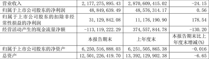 重庆港：2024年上半年净利润4884.96万元 同比增长0.56%